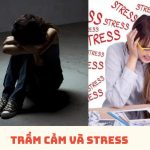 Trầm cảm và stress không phải là cùng một vấn đề